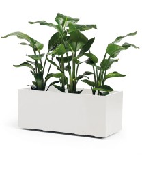 Plantenbak Euro3Plast Kebe Greener 100x40x40cm Wit