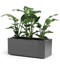 Plantenbak Euro3Plast Kebe Greener 100x40x40cm Antraciet