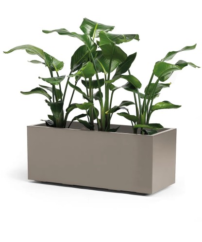 Plantenbak Euro3Plast Kebe Greener 100x40x40cm Taupe